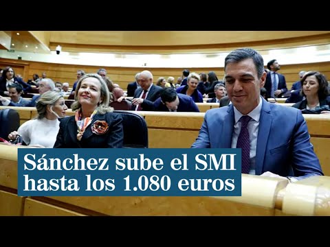 Pedro Sánchez anuncia una subida del 8% en el salario mínimo, hasta los 1 080 euros al mes