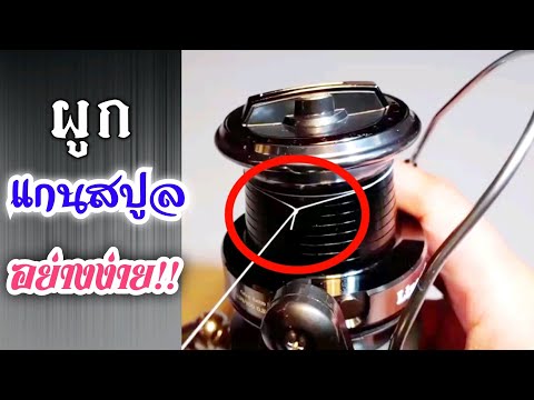 การผูกสายแกนสปูลของรอกสปินนิ่ง การผูกสายแกนสปูลของรอกสปินนิ่ง