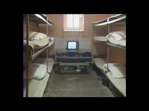 Телекомпания ТВ2