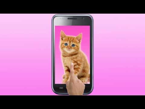 Sweet Cat Dress Up Wallpaper App Ranking And Store Data App Annie