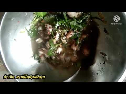 ต้มกบนาชัวกบแซ่บๆๆหอมทีเด็ดผัก ต้มกบนาชัวกบแซ่บๆๆหอมทีเด็ดผัก