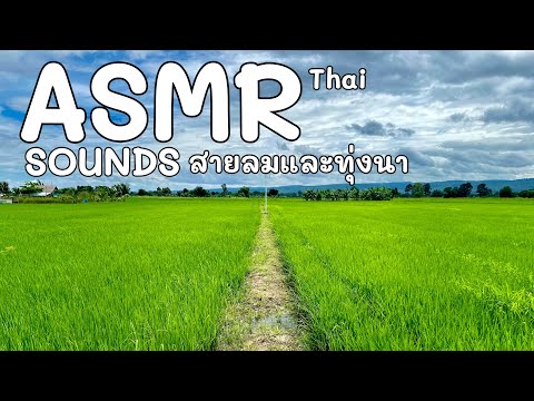 ASMRฟังเสียงท้องนากับสายลม