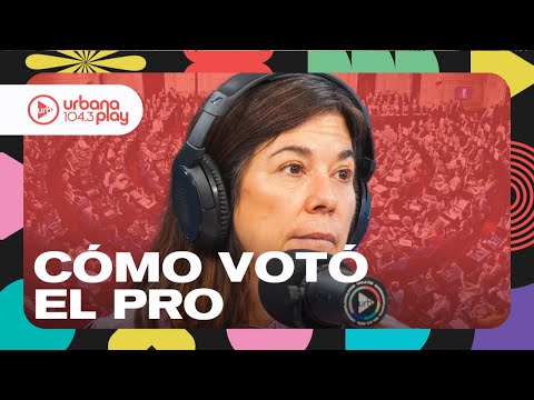 Para nosotros no estaba en juego la universidad pública: Cómo votó el PRO en Diputados #DeAcáEnMás