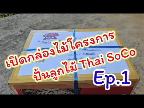 ไม้โครงการสวนเอ๋สระบุรีEp.