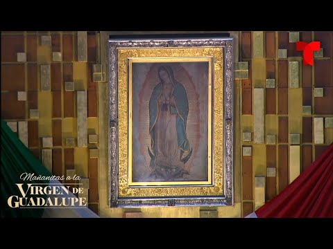 EN VIVO: Misa a la Virgen de Guadalupe desde la Basílica de Santa María en Ciudad de México