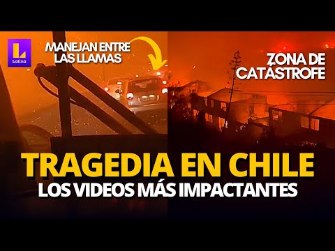 Incendios en Chile: Los videos MÁS IMPACTANTES y toda la información | Mundo en Tendencia