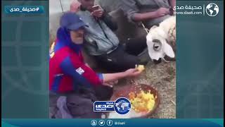 خرب الغداء عليهم