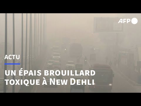 Inde: New Delhi noyée sous un épais brouillard toxique après la fête de Diwali | AFP