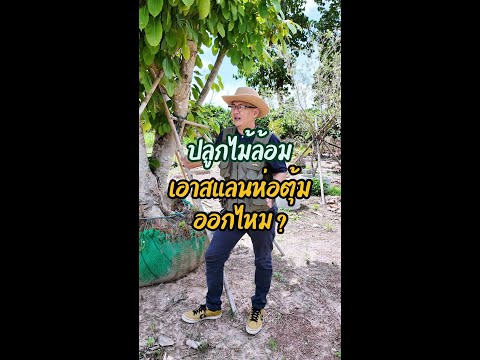 ปลูกไม้ล้อมต้องเอาสแลนออกไหม