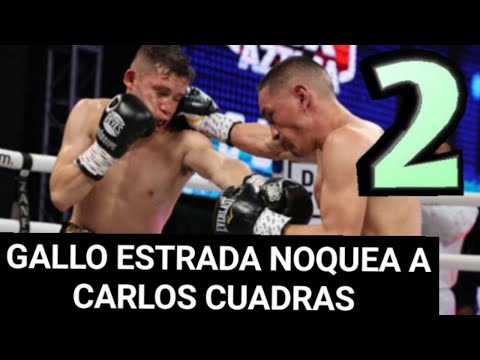Resumen de la pelea Gallo Estrada vs. Carlos Cuadras 2