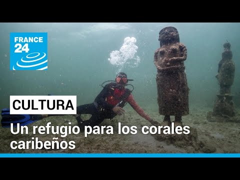Un museo submarino para proteger a los corales en Colombia • FRANCE 24 Español