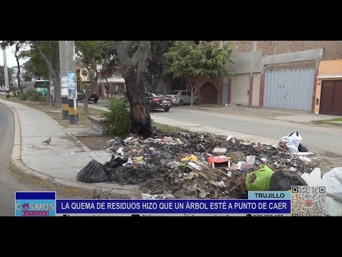 Trujillo: la quema de residuos hizo que un árbol esté a punto de caer