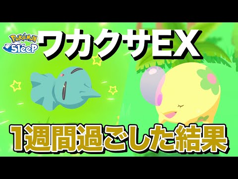 【ポケモンスリープ】ワカクサEXで1週間過ごしたら色々ミラクルが…！？