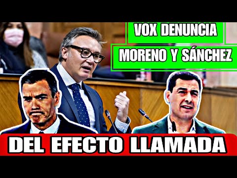 MANUEL GAVIRA,VOX, DENUNCIA QUE JUANMA MORENO Y PEDRO SÁNCHEZ NO FRENA EL EFECTO LLAMADA