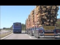 Timber super-truck 2 