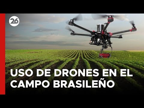 BRASIL | Tecnología de drones mejora la producción del campo
