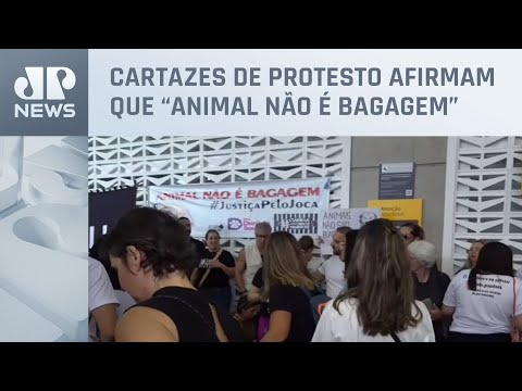 Tutores de pets fazem manifestação no Aeroporto de Guarulhos or justiça à morte do cão Joca
