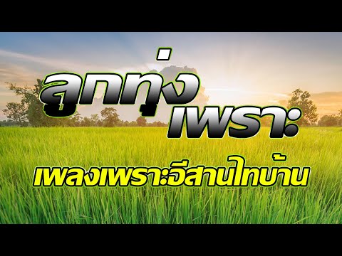 ลูกทุ่งเพราะ-เอาใจอีสานไทบ้าน ลูกทุ่งเพราะ-เอาใจอีสานไทบ้าน