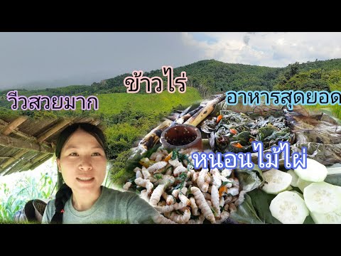 ไปถอนหญ้าไร่-ทำอาหารกินอยู่สวน ไปถอนหญ้าไร่-ทำอาหารกินอยู่สวน