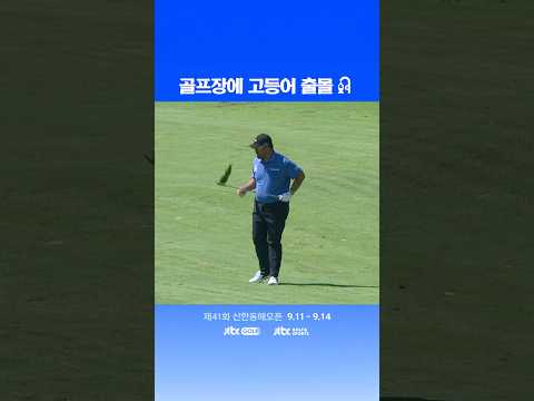 이것은 고등어인가 돈까스인가 