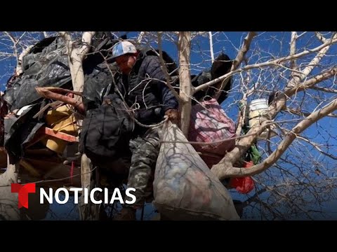 Lo perdió todo y ahora vive en un árbol. La historia de supervivencia de un hombre en Ciudad Juárez