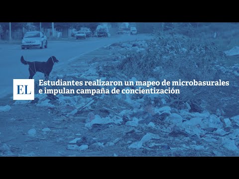 ESTUDIANTES REALIZARON UN MAPEO DE MICROBASURALES E IMPULSAN CAMPAÑA DE CONCIENTIZACIÓN