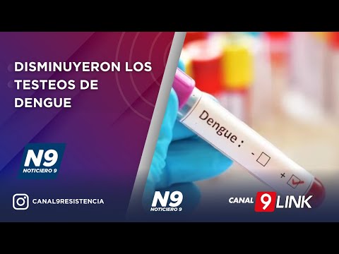 DISMINUYERON LOS TESTEOS DE DENGUE - NOTICIERO 9