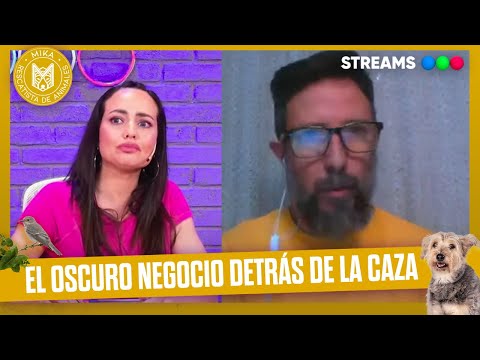 El cruel negocio detras de la caza de animales con Mauricio Trigo en #MikaRescatistaDeAnimales