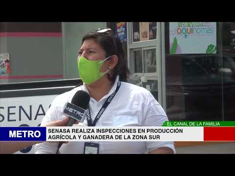 SENASA REALIZA INSPECCIONES EN PRODUCCIÓN AGRÍCOLA Y GANADERA DE LA ZONA SUR