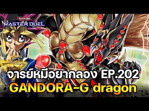 จารย์หมีอยากลองEP:202GANDORA