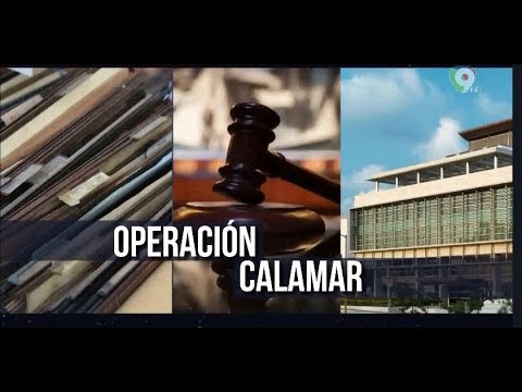 Defensa planea estrategia en caso Calamar/Emisión Estelar SIN