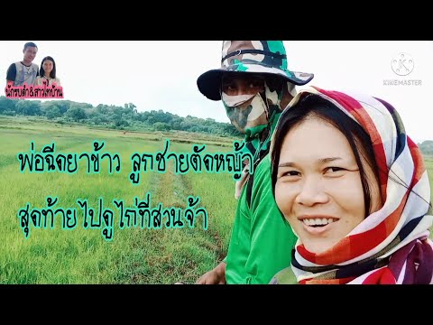 ชีวิตติดเกษตร-ไปนาตัดหญ้า-ฉีดย ชีวิตติดเกษตร-ไปนาตัดหญ้า-ฉีดย