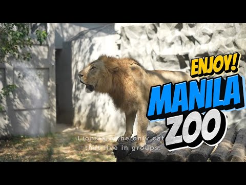 RISE UP OF MANILA ZOO! VISIT NOW!