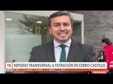 Repudio transversal a filtración en Cerro Castillo