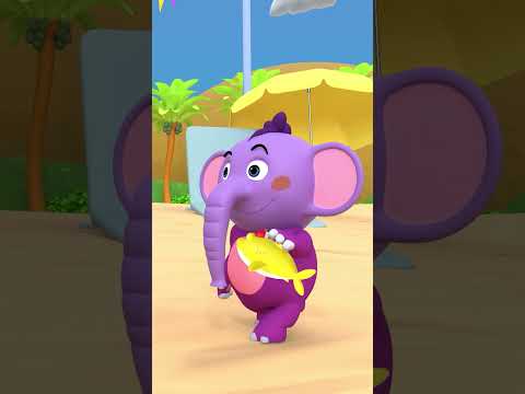 เบบี้ชาร์คโดโดโดV1🦈🎵shor