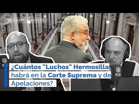 ¿Cuántos Luchos Hermosilla habrá en la Corte Suprema y de Apelaciones?