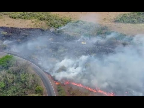 Incendió en Palo Verde consumió 3 mil hectáreas