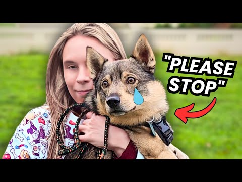 YouTube video thumbnail