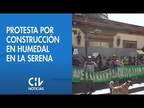 Protesta en La Serena contra la construcción de condominio sobre un humedal