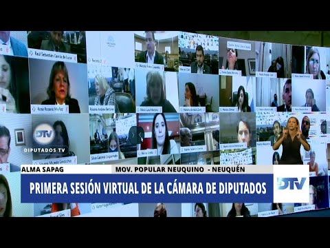 Coronavirus: en Argentine, les députés siègent désormais... dans un écran géant