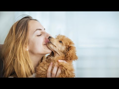 ¿Besar a tu mascota puede ser perjudicial para la salud?