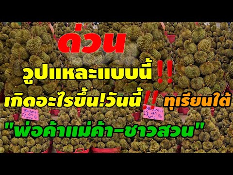 อีกแล้วทุเรียนจนได้!ราคาทุเรีย