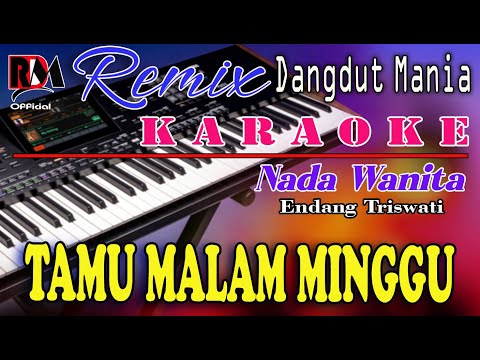 Tamu Malam Minggu - Endang Triswati || Karaoke (Nada Wanita) Dj Mix Dut Orgen Tunggal