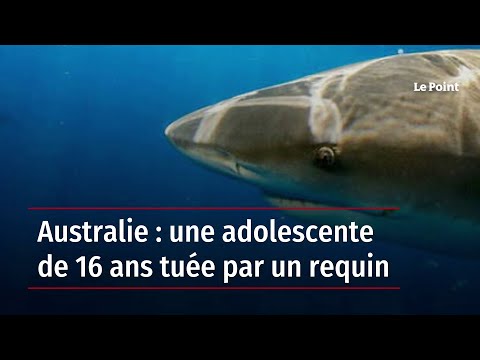 Australie : une adolescente de 16 ans tuée par un requin