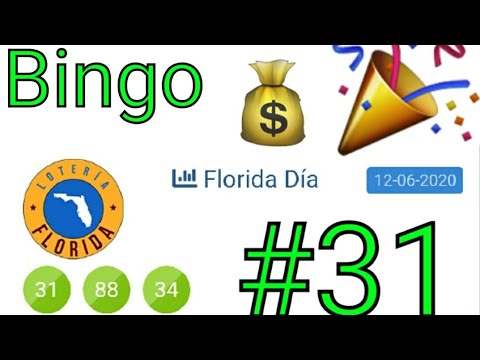 Bingazoo #31 en la Florida Tarde ?