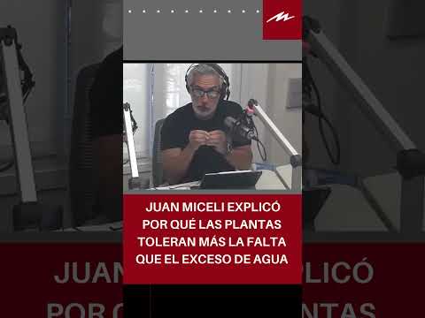 Juan Miceli explicó por qué las plantas toleran más la falta que el exceso de agua