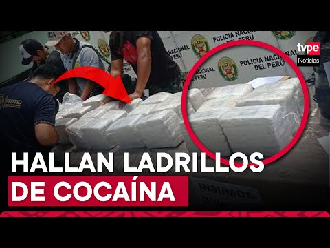 PNP decomisó 20 ladrillos de alcaloide de cocaína