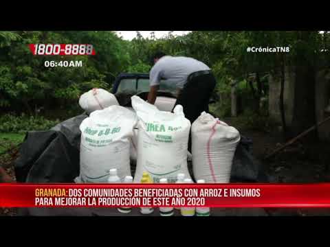 Entregan semillas e insumos a productores de arroz en Nandaime - Nicaragua