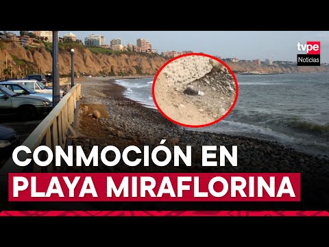 Miraflores: hallan cadáver de bebé en playa Makaha
