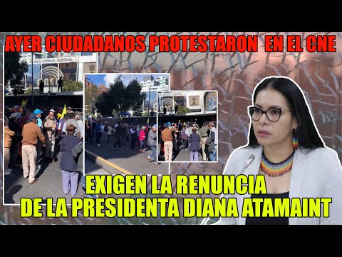 ¡Ecuador en Ebullición! Ciudadanos Exigen la Renuncia de la Presidenta del CNE en Masiva Protesta